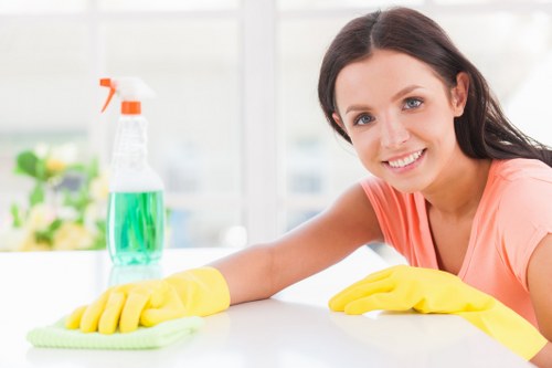 Old Malden Carpet Cleaners safety and insurance overview