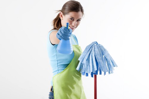 Professional steam carpet cleaning in an Old Malden home