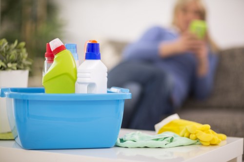 Safe cleaning of delicate upholstered furniture in a home