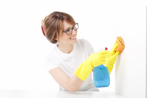 Professional stain removal service for Old Malden homes