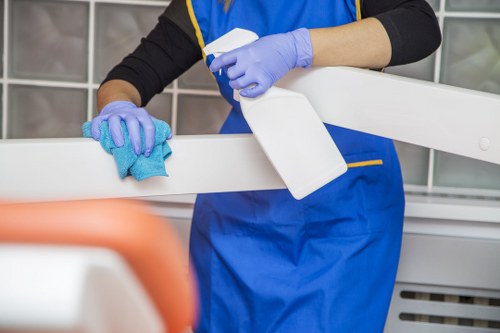 Pet stain and odour extraction service in Old Malden