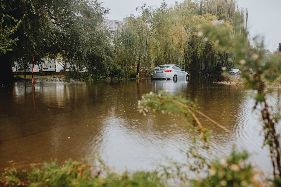 An outdoor scene showing a flooded residential area with water covering the pavement and street, submerging the base of several parked cars and trees. The water appears murky and reflective, with part