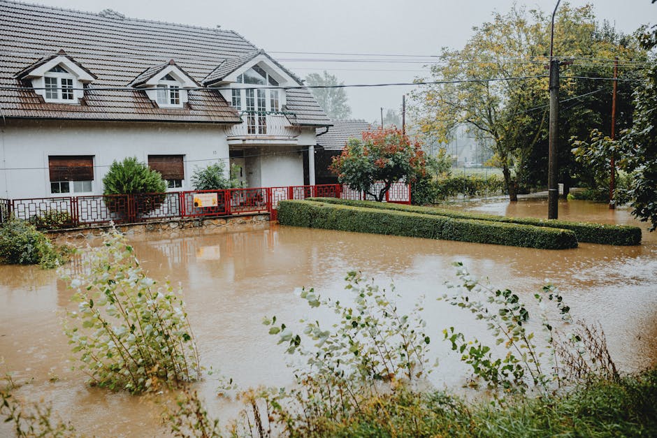 An outdoor scene showing a flooded residential area with water covering the pavement and street, submerging the base of several parked cars and trees. The water appears murky and reflective, with part